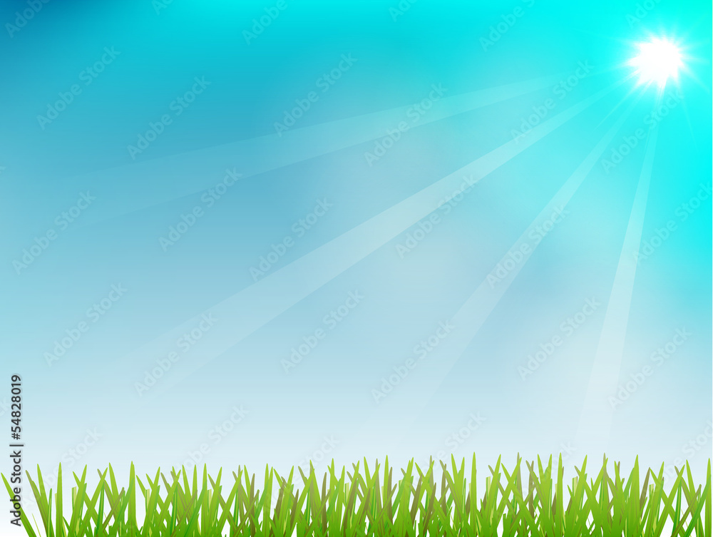 sunny summer sky and grass. Vector illustration.