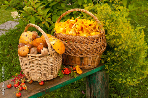 two baskets with mushrooms on the bench