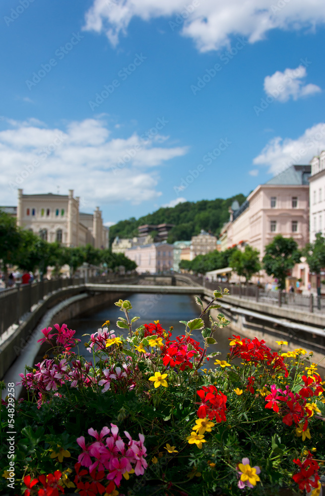 Karlovy Vary, river over flowers