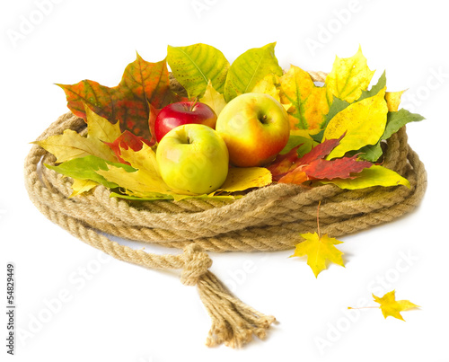 Autumn crop of fruit