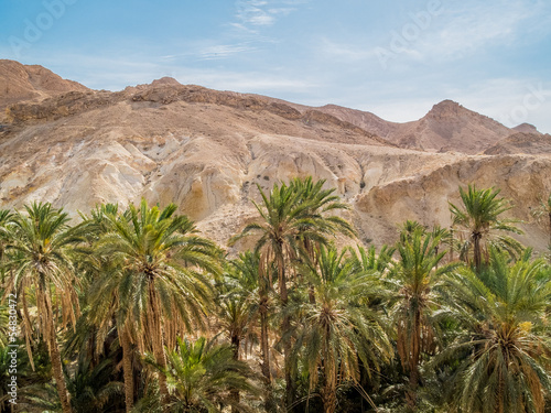 mountain oasis Chebika in Sahara desert  Tunisia