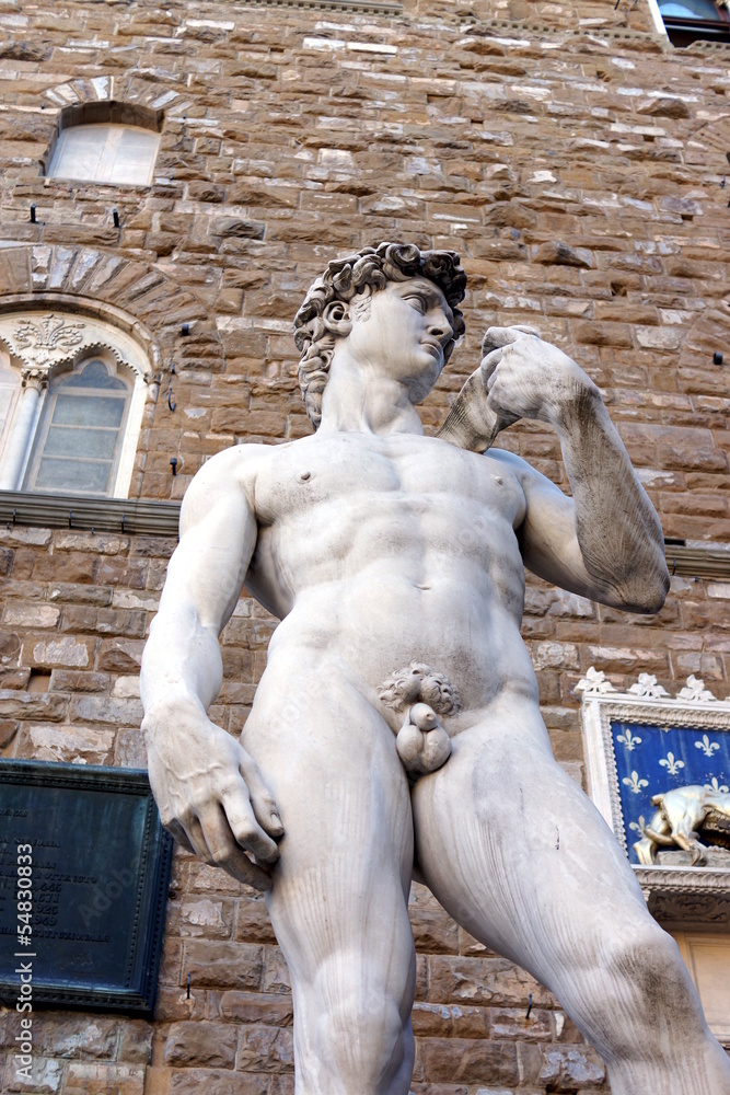 Obraz premium Florence, David by Michelangelo