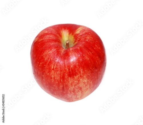 isolated apple in white background