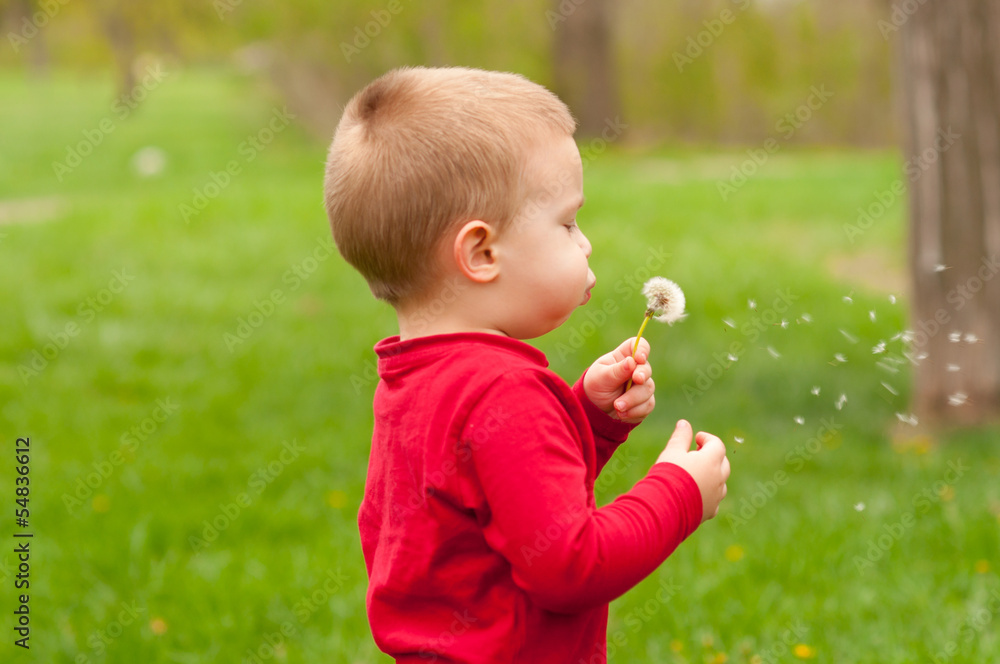 Cute little boy blowing dandelion in the park Cute little boy blowing dandelion in the park