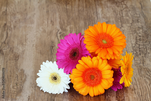 Colorful gerbera daisies with copy space