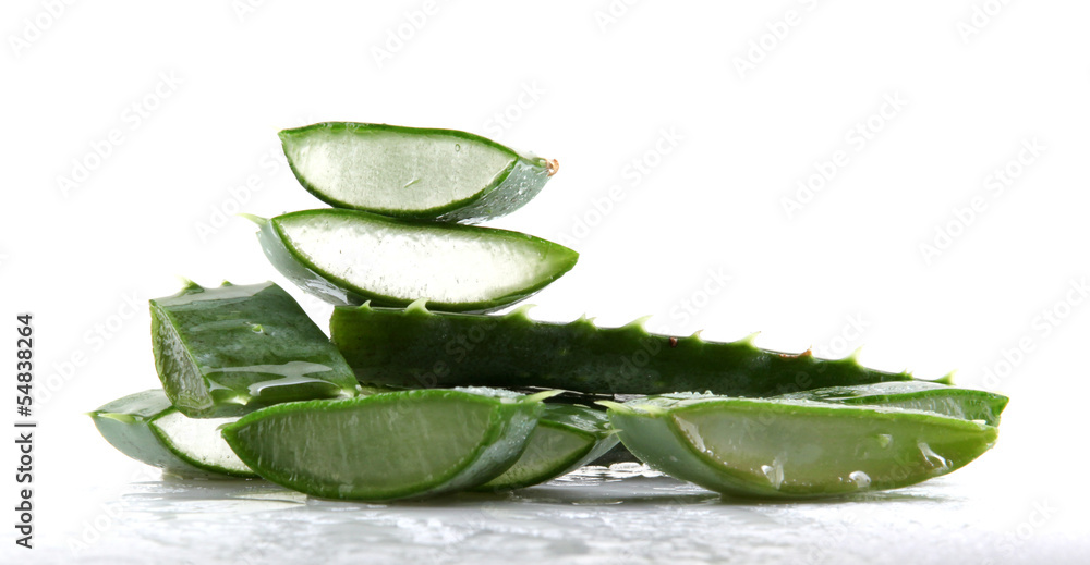 Obraz premium aloe vera isolated