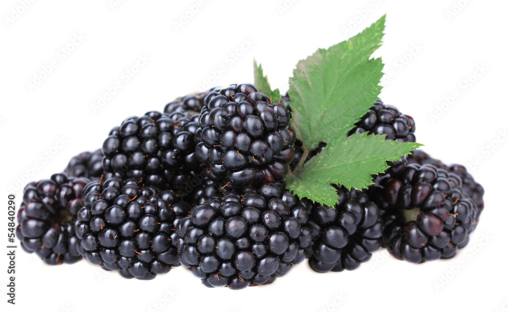 Sweet blackberries isolate on white Sweet blackberries isolate on white