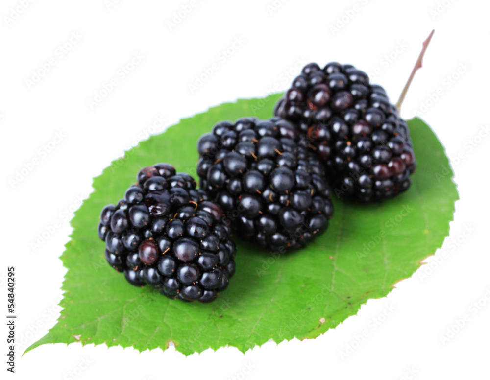 Sweet blackberries isolate on white Sweet blackberries isolate on white