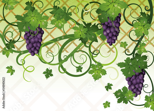 Season autumn banner with grapes, vector illustration