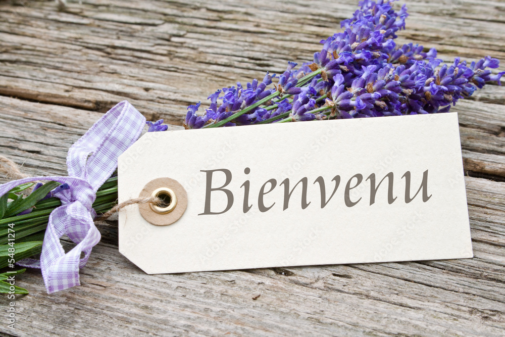 Fototapeta premium bienvenu