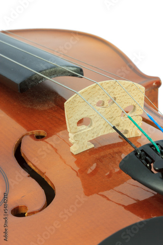 Violin detail photo