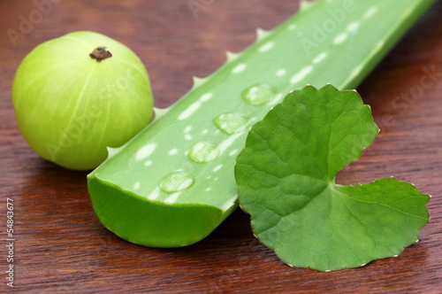 Medicinal aloe with thankuni leaves and amla photo