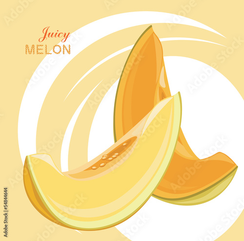 Slices of juicy melon on the abstract background