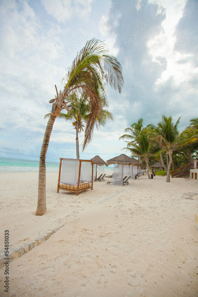 Beach beds near big palmtree at tropical exotic white beach