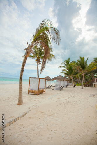 Fototapeta Naklejka Na Ścianę i Meble -  Beach beds near big palmtree at tropical exotic white beach