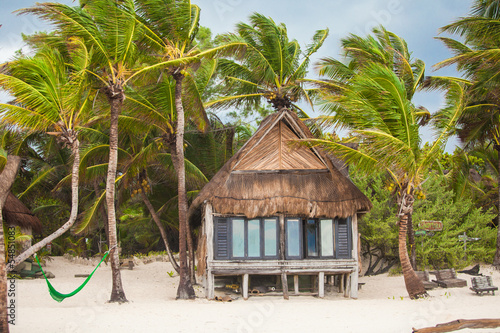 Tropical beach house on ocean shore among palm trees