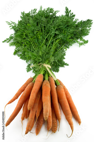 botte de carottes et fanes 2