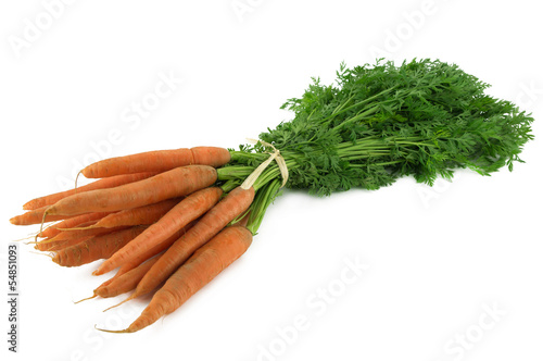 botte de carottes et fanes 3