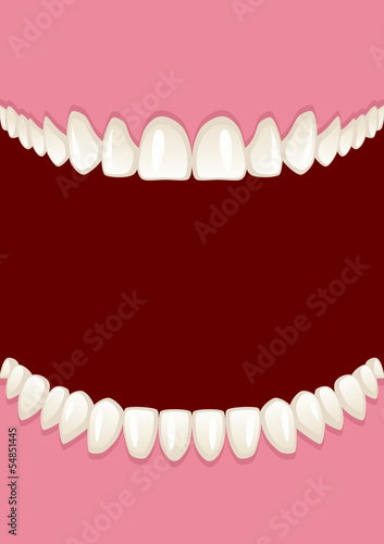 Teeth
