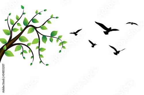 Naklejka na ścianę ptak latający wokół gałęzi drzewa, wektor