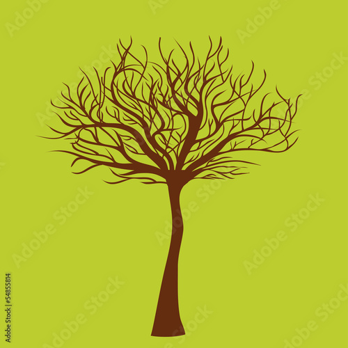 Tree without leafs, vector illustration © nikolya