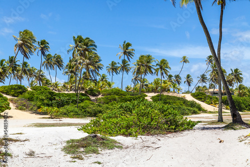 plage arembepe photo