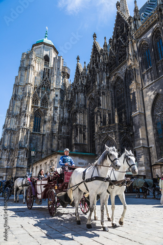 Horse-drawn Carriage in Vienna at the famous Stephansdom Cathedr