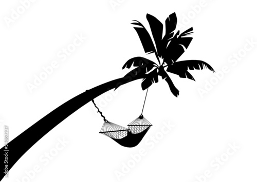 Palme mit Hängematte