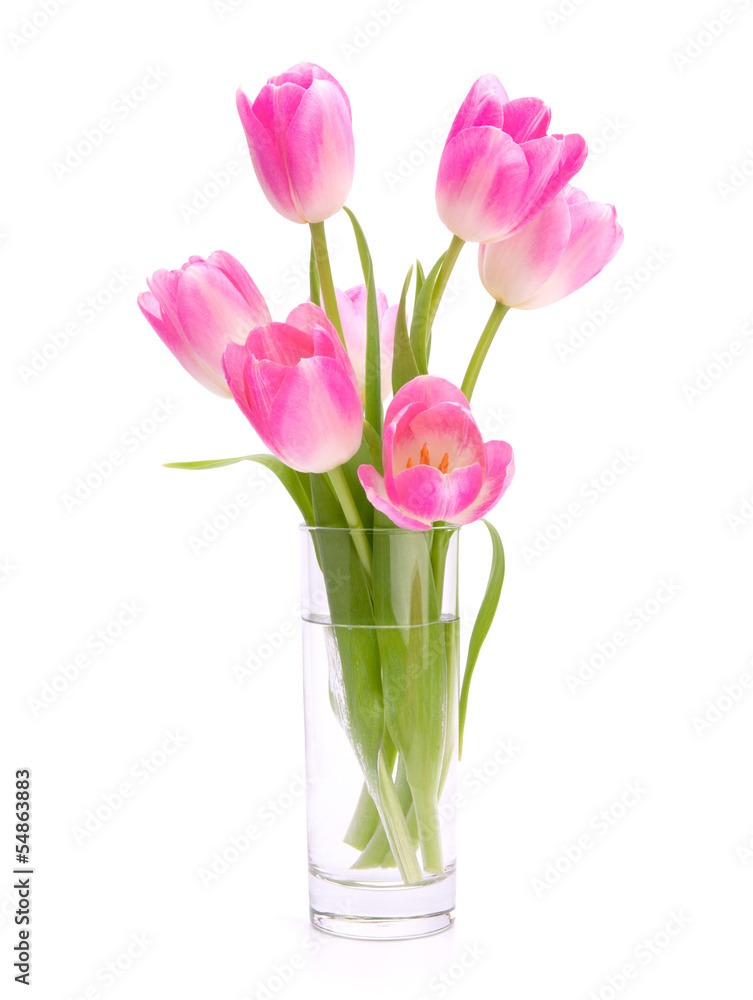 Pink tulips bouquet in vase isolated on white background Pink tulips bouquet in vase isolated on white background