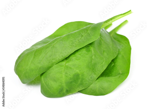salad spinach