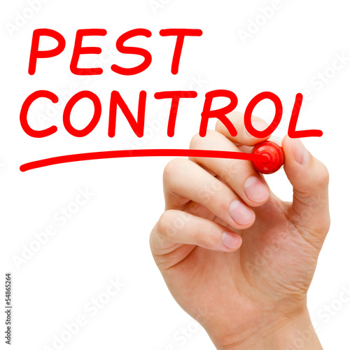 фотографія Pest Control