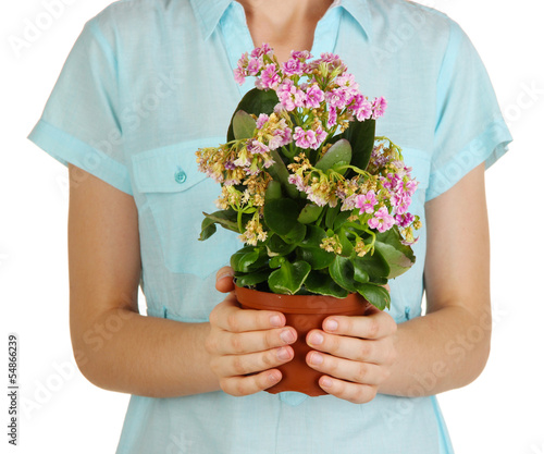 Beautiful flower in pot in hands of girl isolated on white