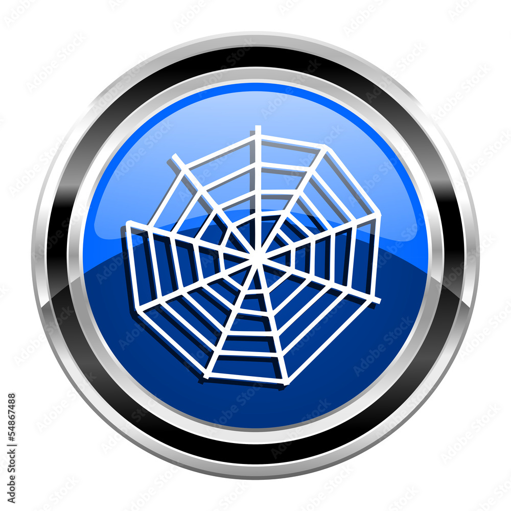spider web icon spider web icon