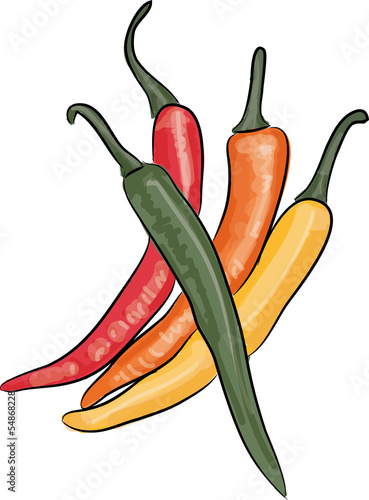 chili peperoni bunt grün gelb orange rot