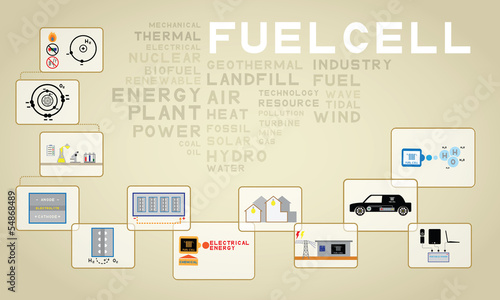 fuel cell