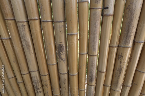 Bamboo wall