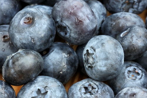 Heidelbeeren Großaufnahme photo