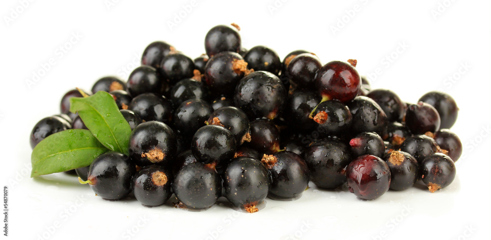 Black currant isolated on white Black currant isolated on white
