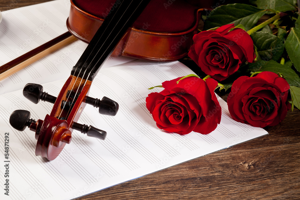 Fototapeta premium Red roses and a violin