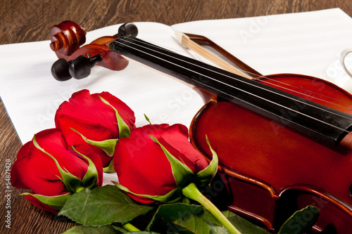 Red roses and a violin