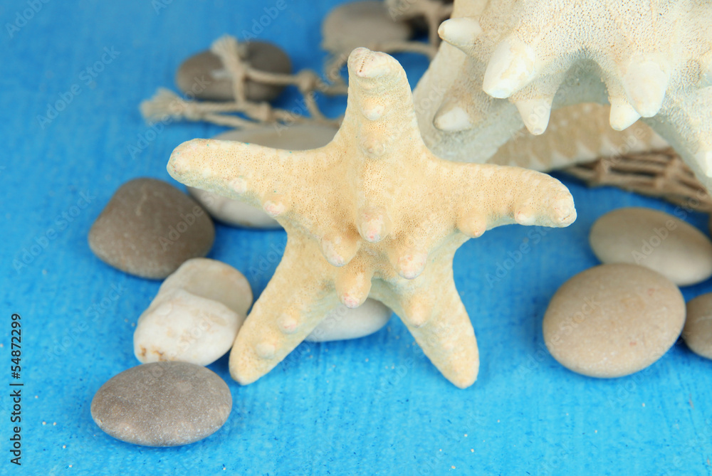 White starfishes on blue wooden table close-up White starfishes on blue wooden table close-up