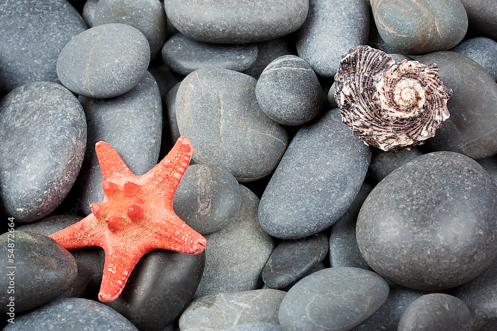 Background of pebbles with starfish Background of pebbles with starfish