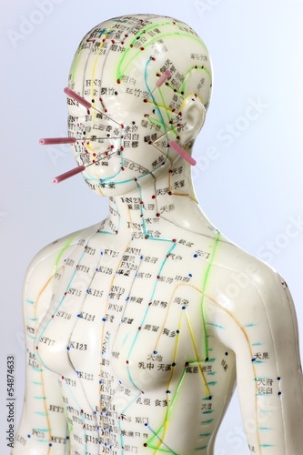 Fototapeta Naklejka Na Ścianę i Meble -  weibliches Akupunkturmodell mit Nadeln im Gesicht