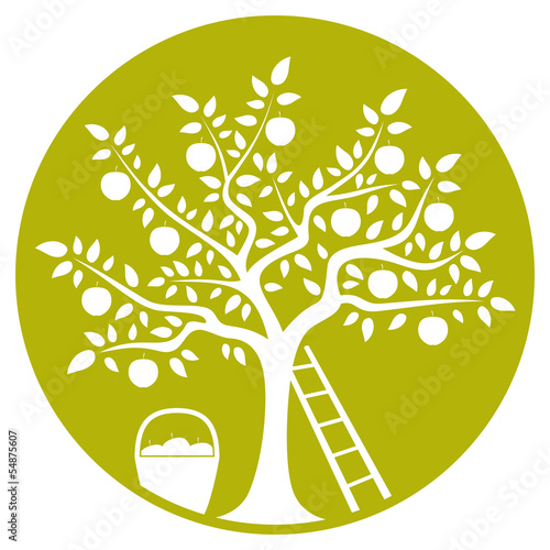 apple tree
