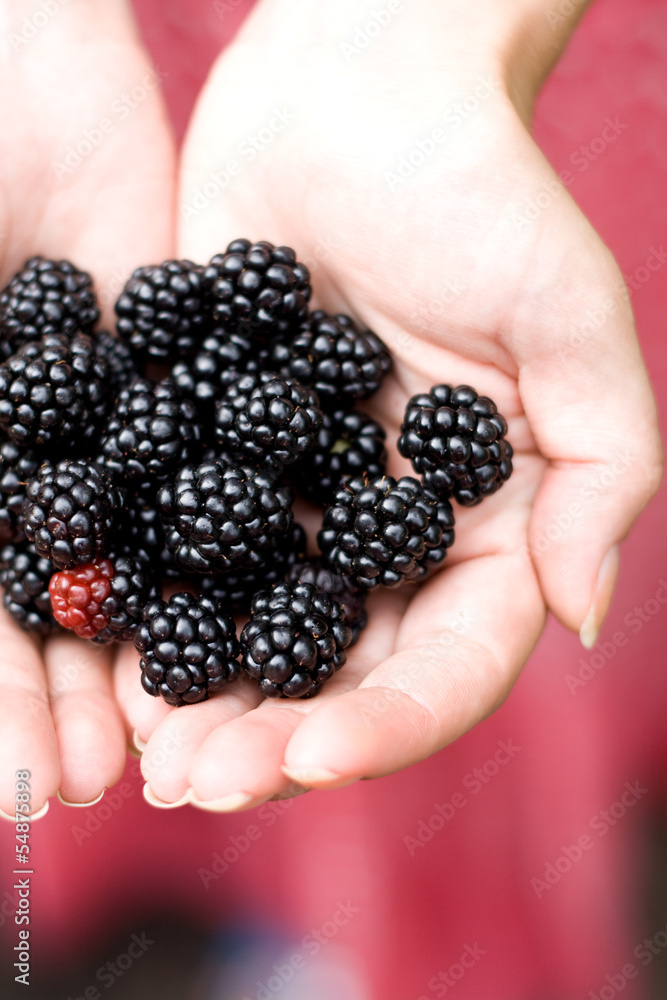 On the palm rests delicious blackberry flavored On the palm rests delicious blackberry flavored