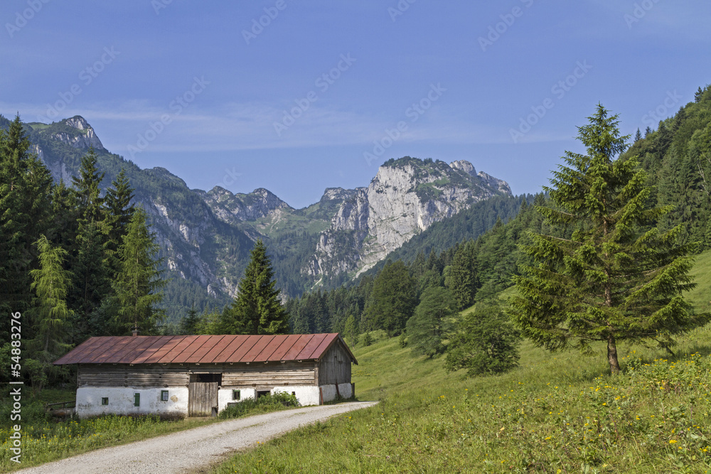 Hauserbauernalm im Längental