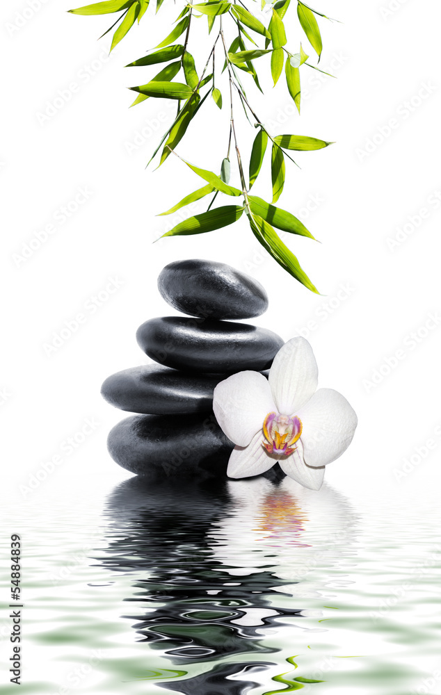 white orchid flower end bamboo - obrazy, fototapety, plakaty 