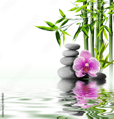 purple orchid flower end bamboo on water