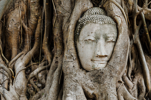 Head of Buddha in a tree trunk, Wat Mahathat © leungchopan