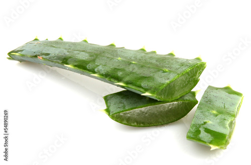 aloe vera isolated